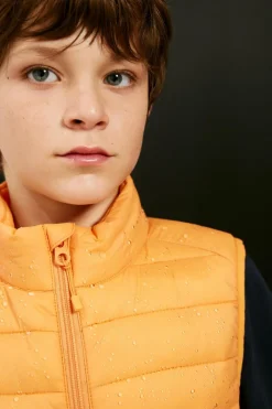 Springfield Kids Colete básico menino Outlet