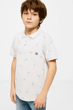Springfield Kids Polo skate menino cinzento Online