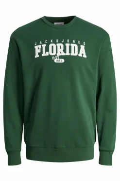Jack & Jones PLUS Sweatshirt padrão Best