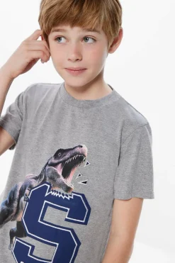 Springfield Kids T-shirt print dinossauro menino cinzento Fashion